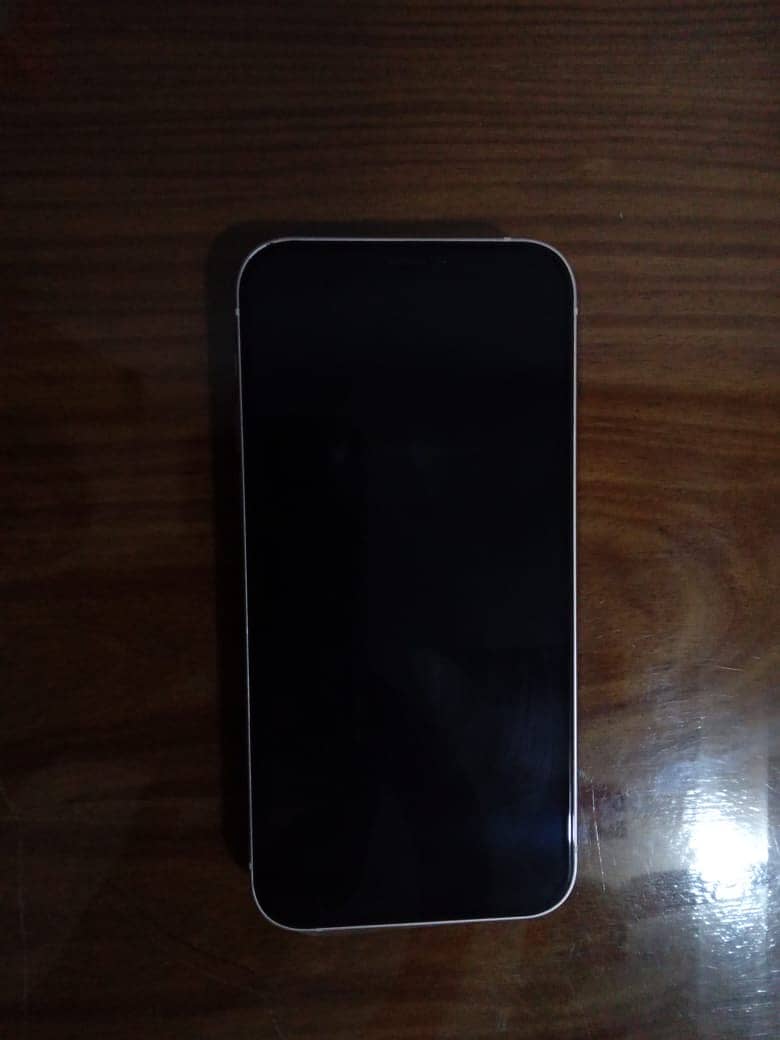 Apple iPhone 13 mini 1