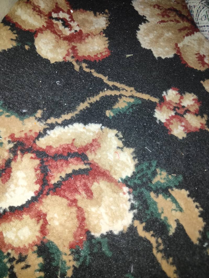 CARPET SELLING 0