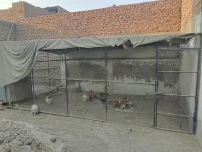 hen cage