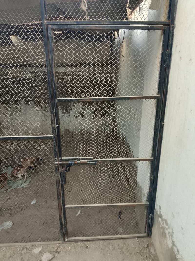 hen cage 5