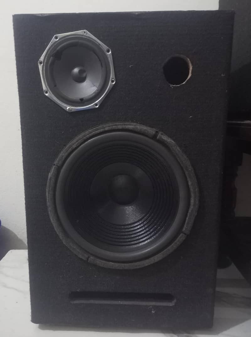 speaker 1