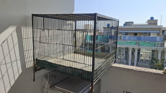 Bird Cage/Pinjra for Parrots, Hens etc