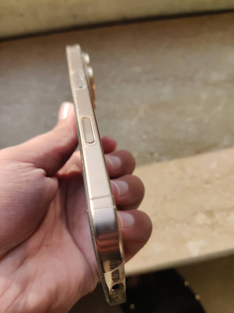 Apple iPhone 16 Pro 3