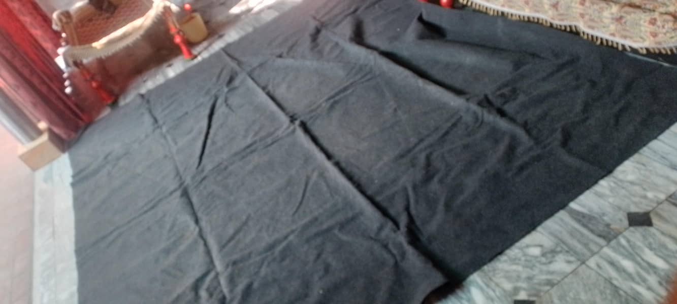 Carpet 5