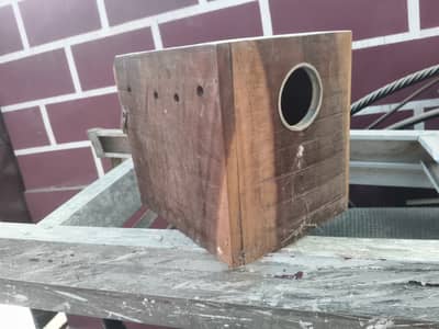 Lovebirds Breeding box