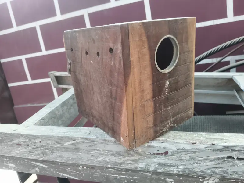 Lovebirds Breeding box
