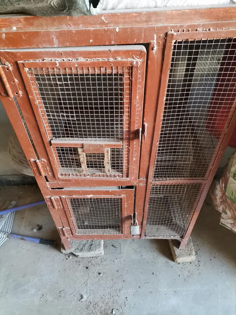 heavy 2 portion cage for sale