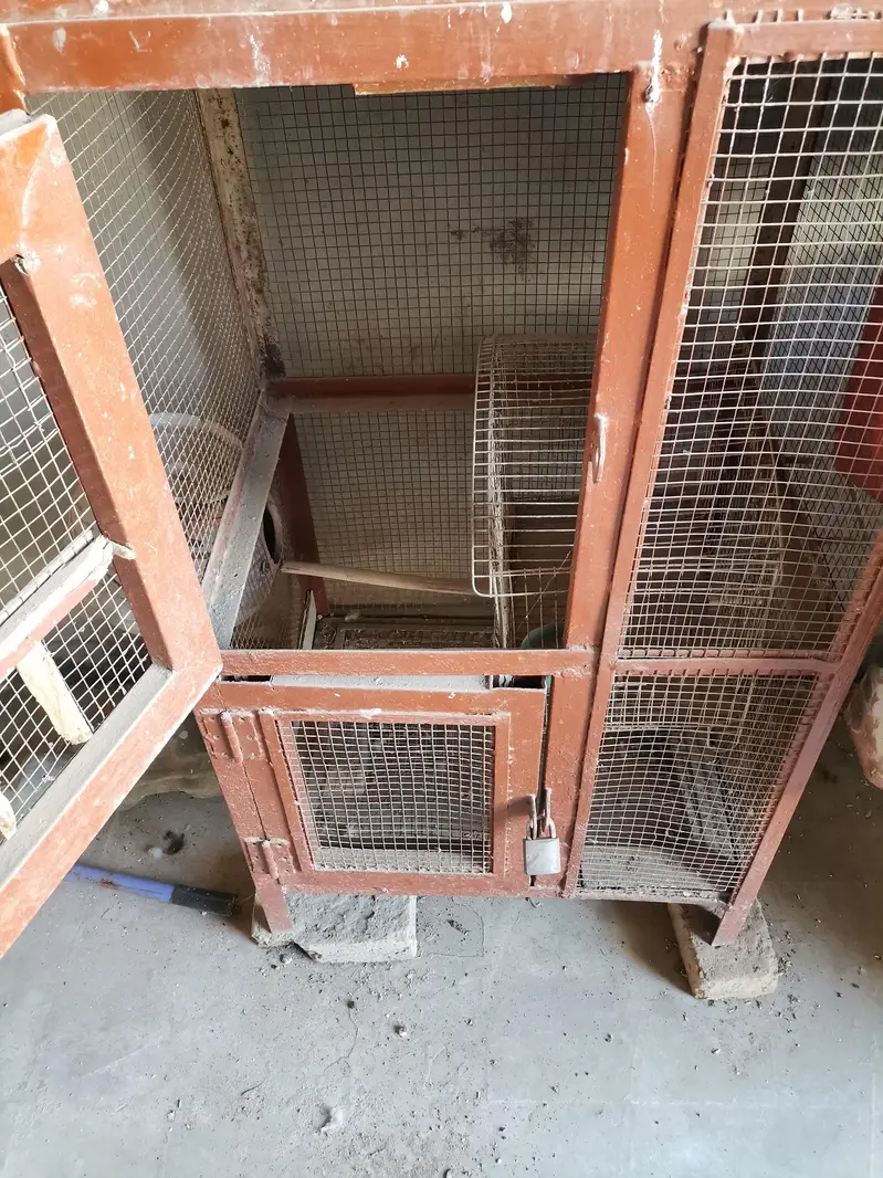 heavy 2 portion cage for sale — photo 2