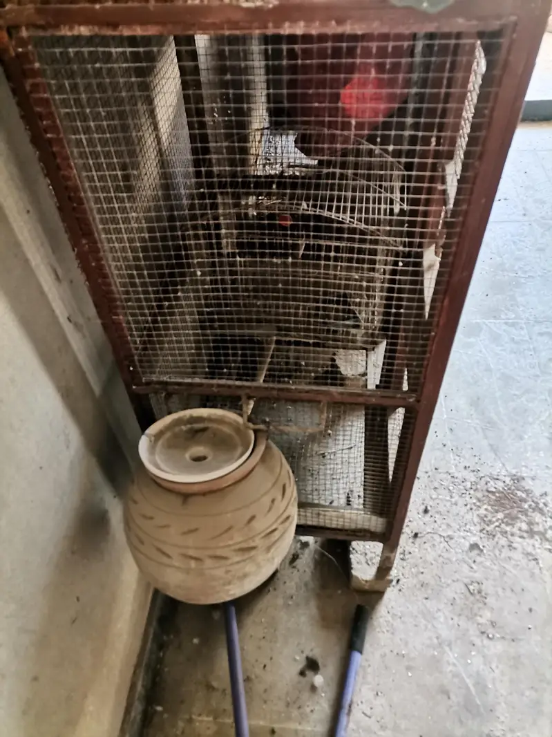 heavy 2 portion cage for sale — photo 3