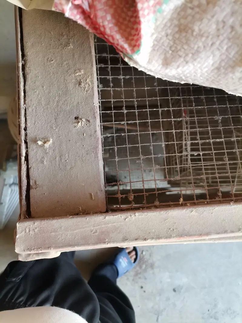 heavy 2 portion cage for sale — photo 4