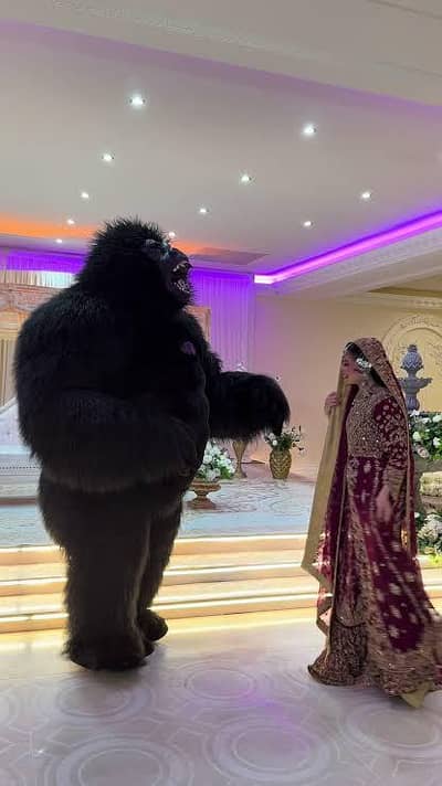 Gorilla Dance For Wedding Booking Available