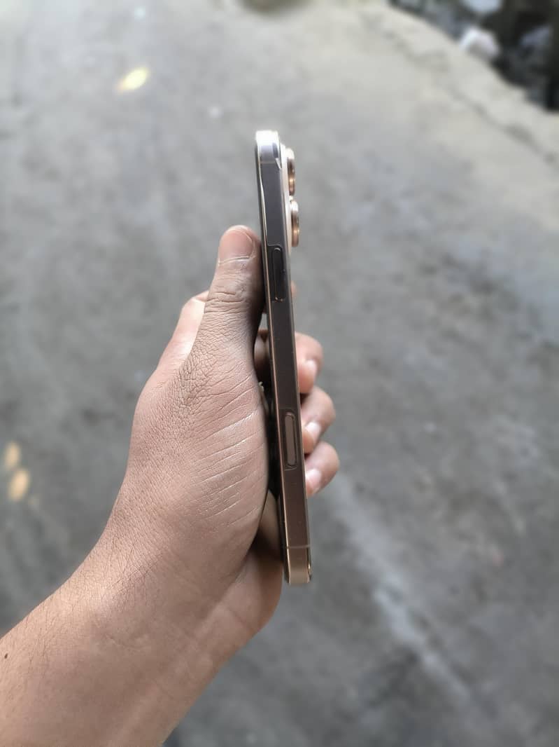 Apple iPhone 16 Pro Max 1