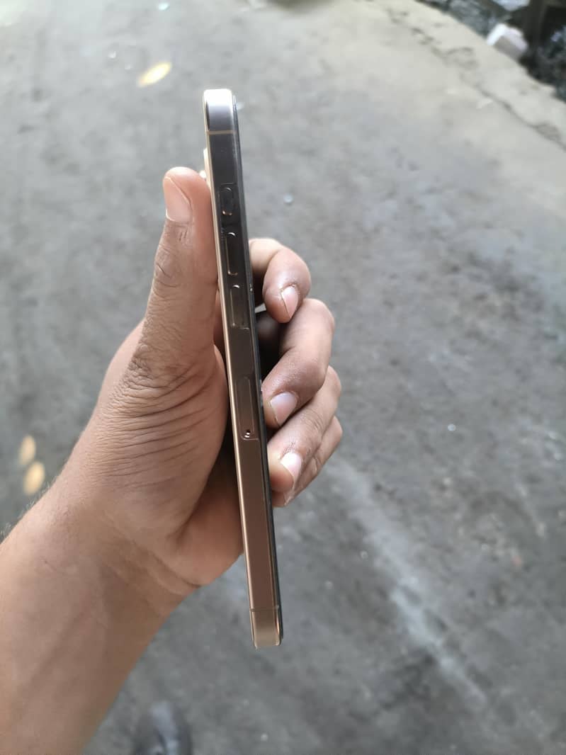 Apple iPhone 16 Pro Max 3