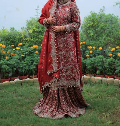Luxury Maroon Bridal Sharara | Heavy Golden Embroidery | Medium