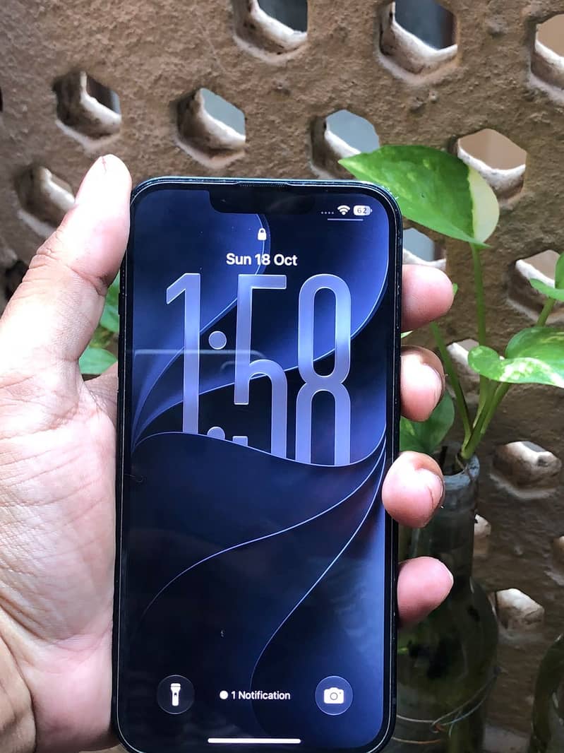 Apple iPhone 13 0