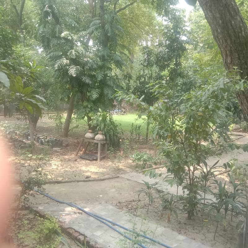 Plot For Sale In Cavalry Ground 1