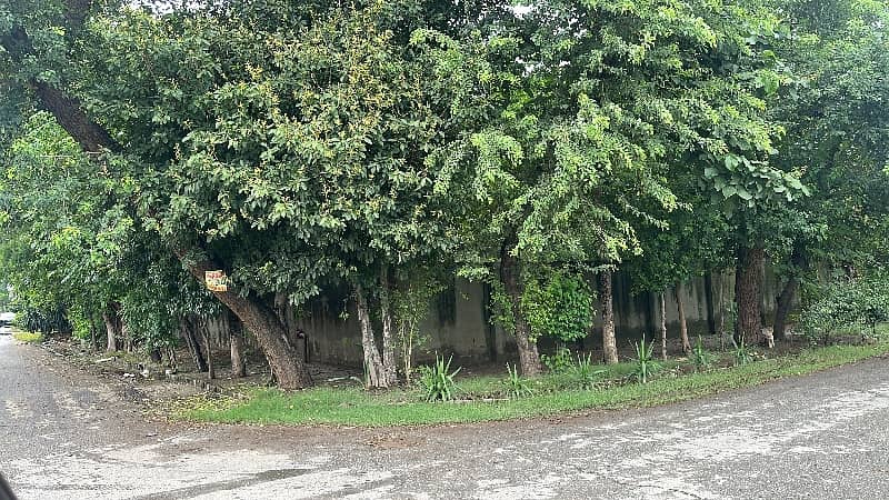 Plot For Sale In Cavalry Ground 2