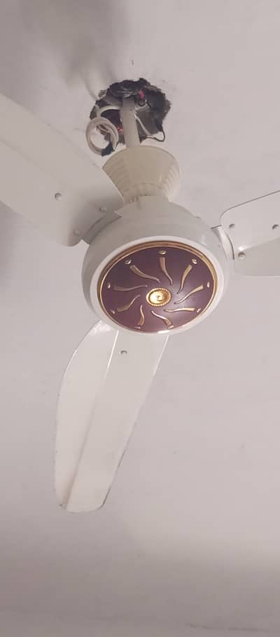 SHABAN FAN AC DC
