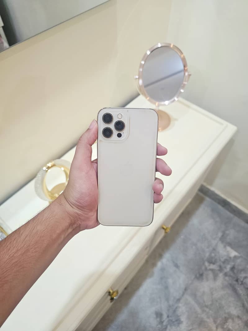 Apple iPhone 12 Pro Max 0