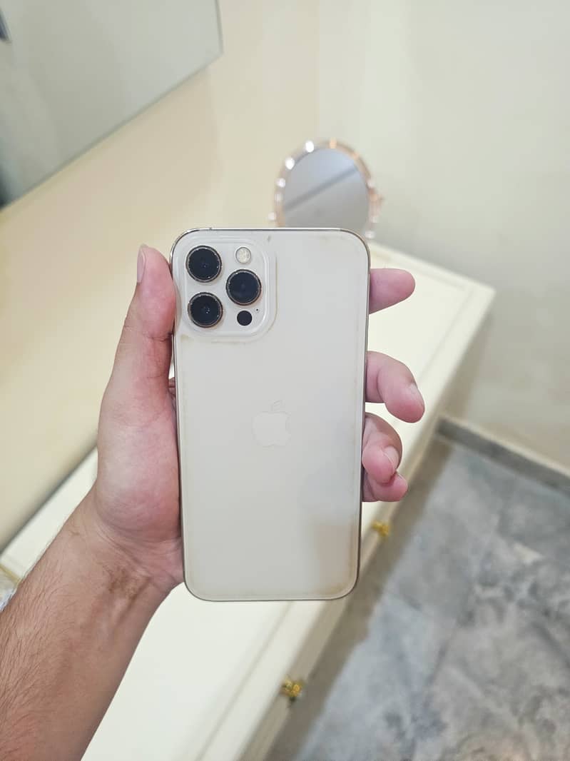 Apple iPhone 12 Pro Max 1