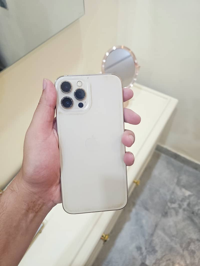 Apple iPhone 12 Pro Max 2