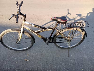 Phoenix Cycle 26Inch