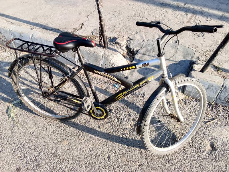 Phoenix Cycle 26Inch 1