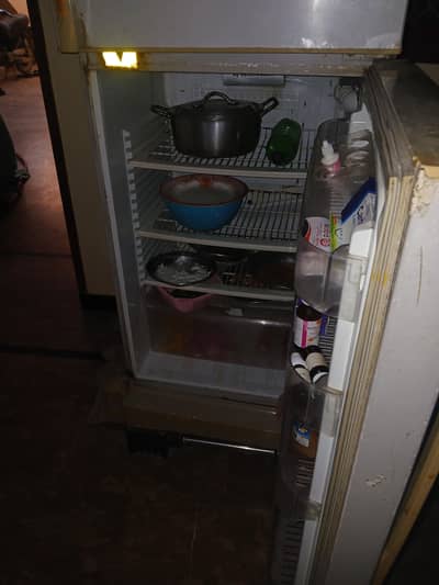 frige