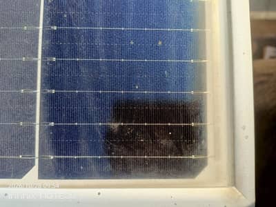 longi solar penals 3 for sale