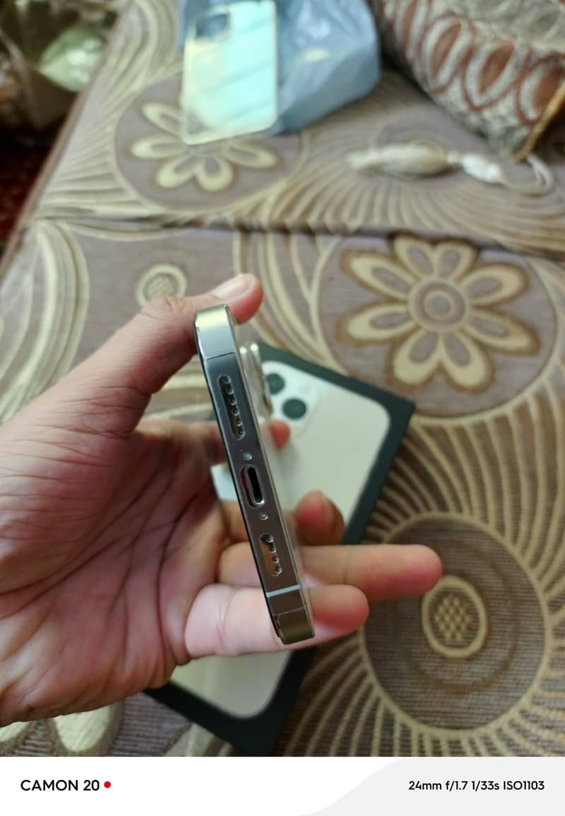 Apple iPhone 13 Pro Max 1