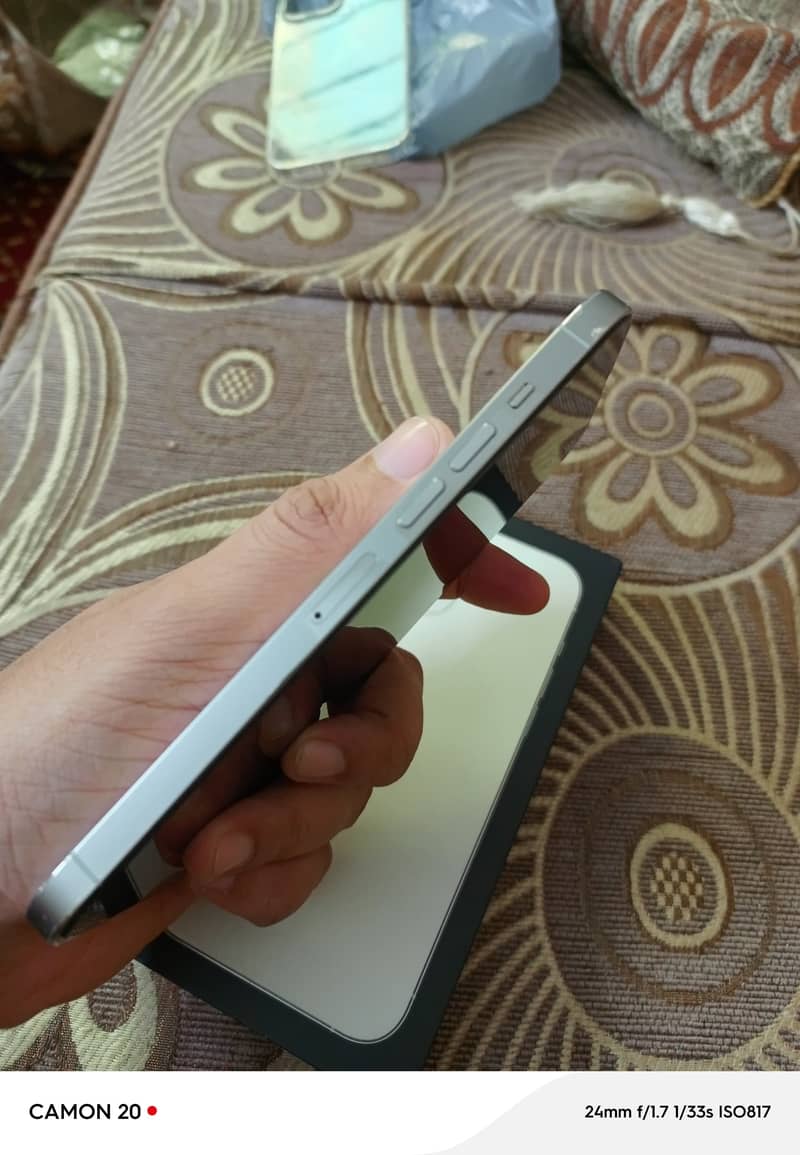 Apple iPhone 13 Pro Max 2