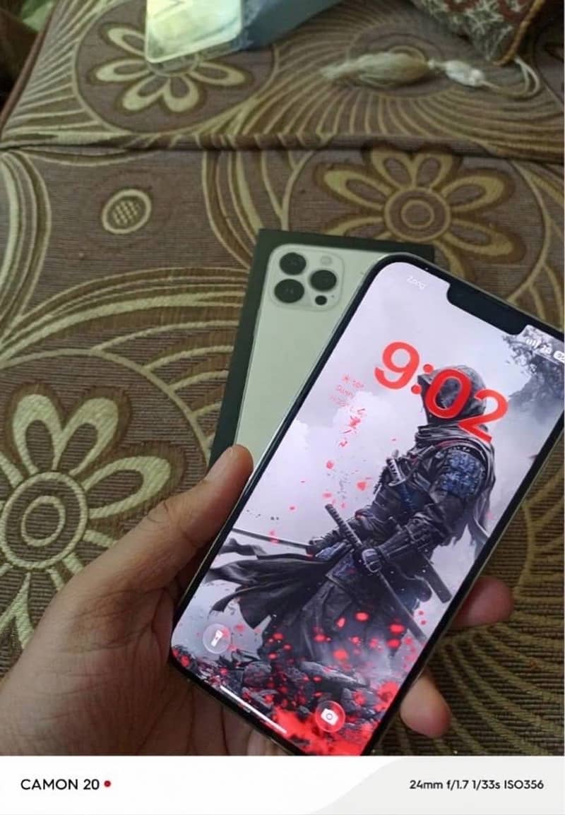 Apple iPhone 13 Pro Max 10
