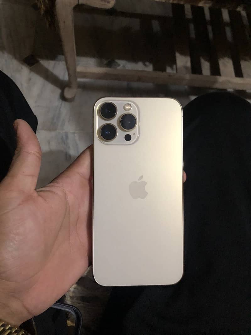 Apple iPhone 13 Pro Max 0