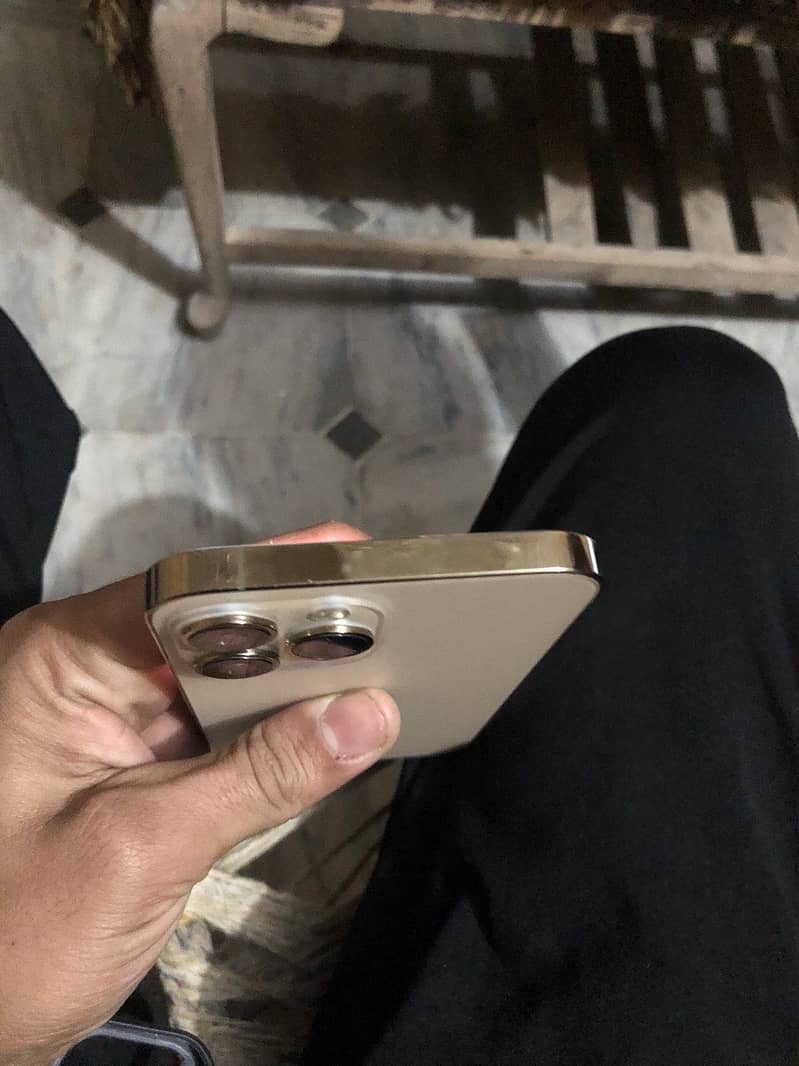 Apple iPhone 13 Pro Max 1