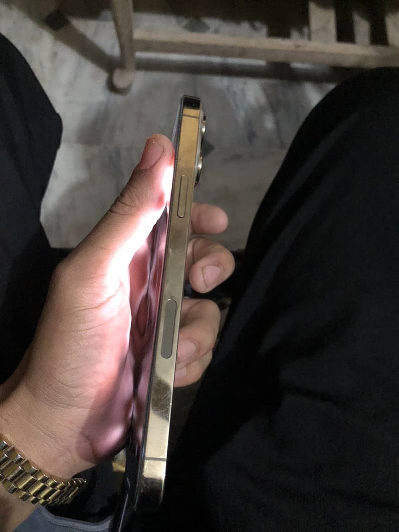 Apple iPhone 13 Pro Max 2