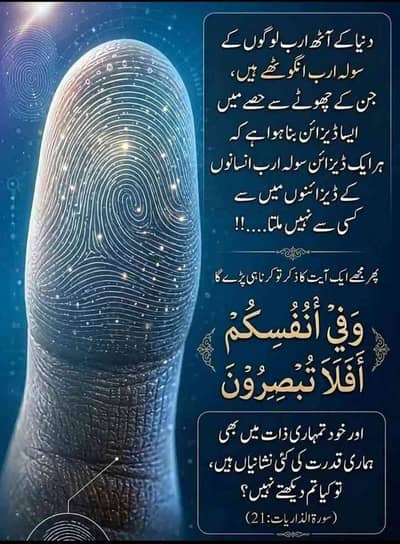 zain Abdullah 