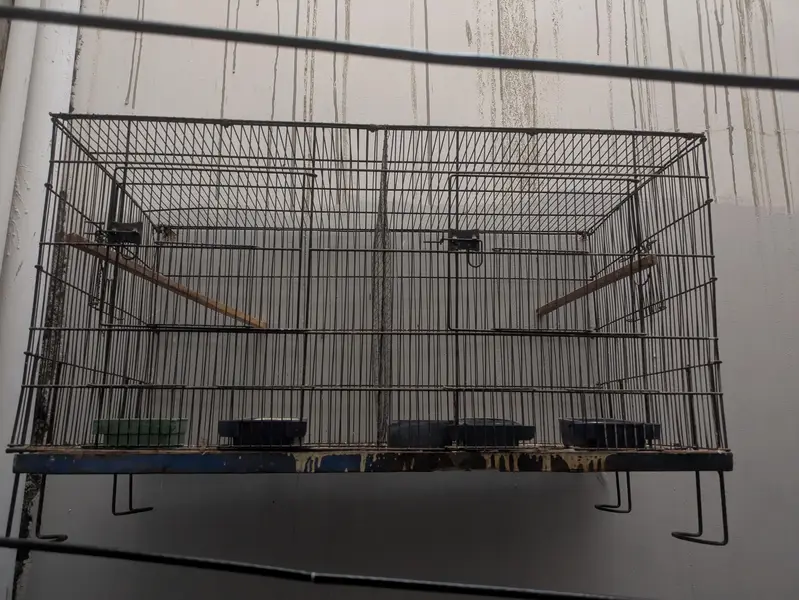 Cage for sale