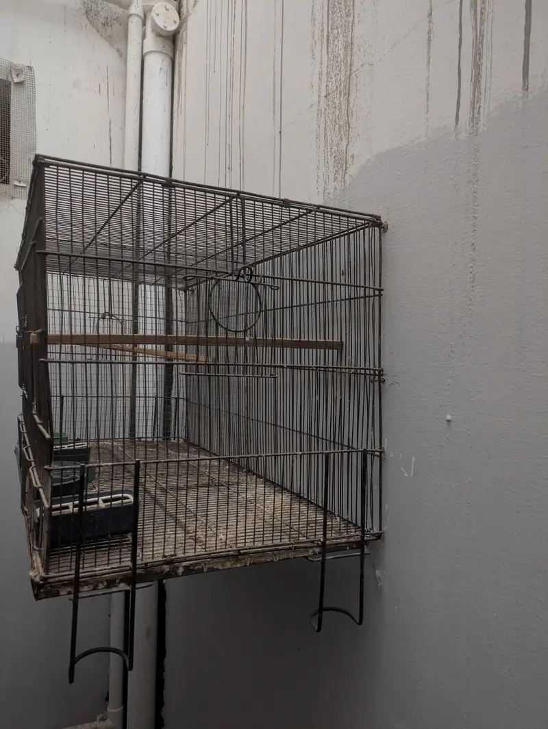 Cage for sale — photo 2