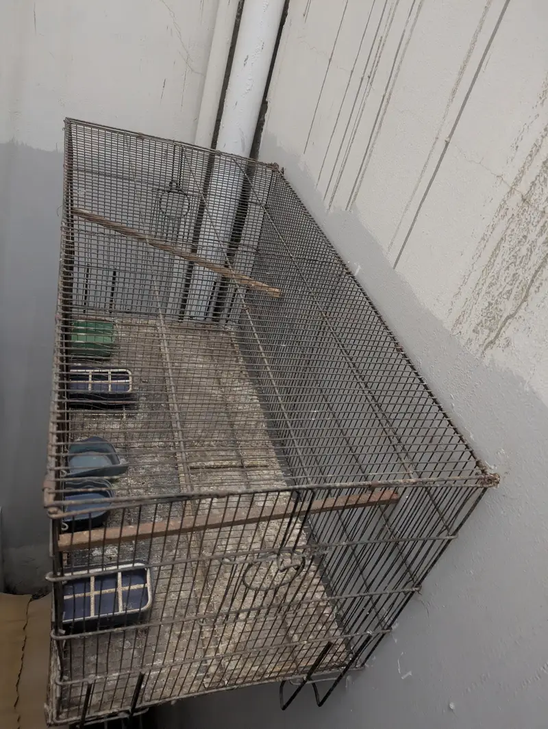 Cage for sale — photo 3