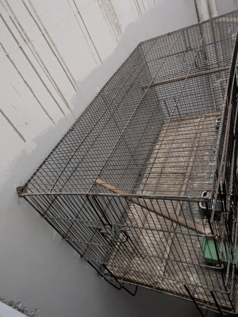 Cage for sale — photo 5