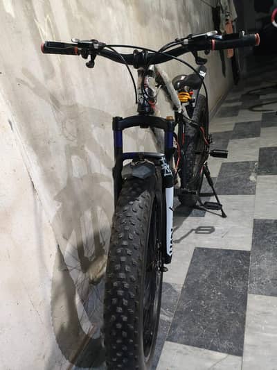 FAT TYER BiCYClE (full size)
