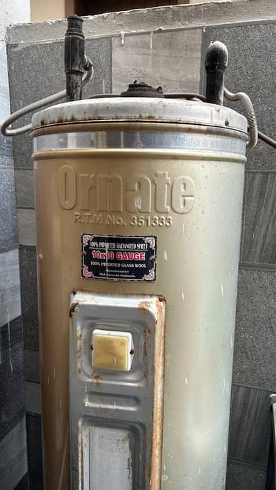 Ornate gas geyser, fully working, reasonable price