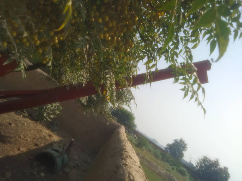 مکی والا پریشر 2