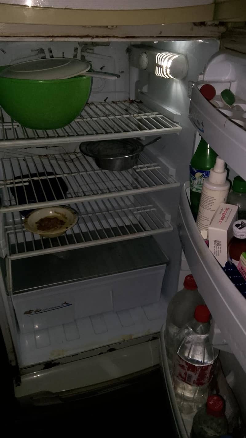 PEL Refrigerator 1