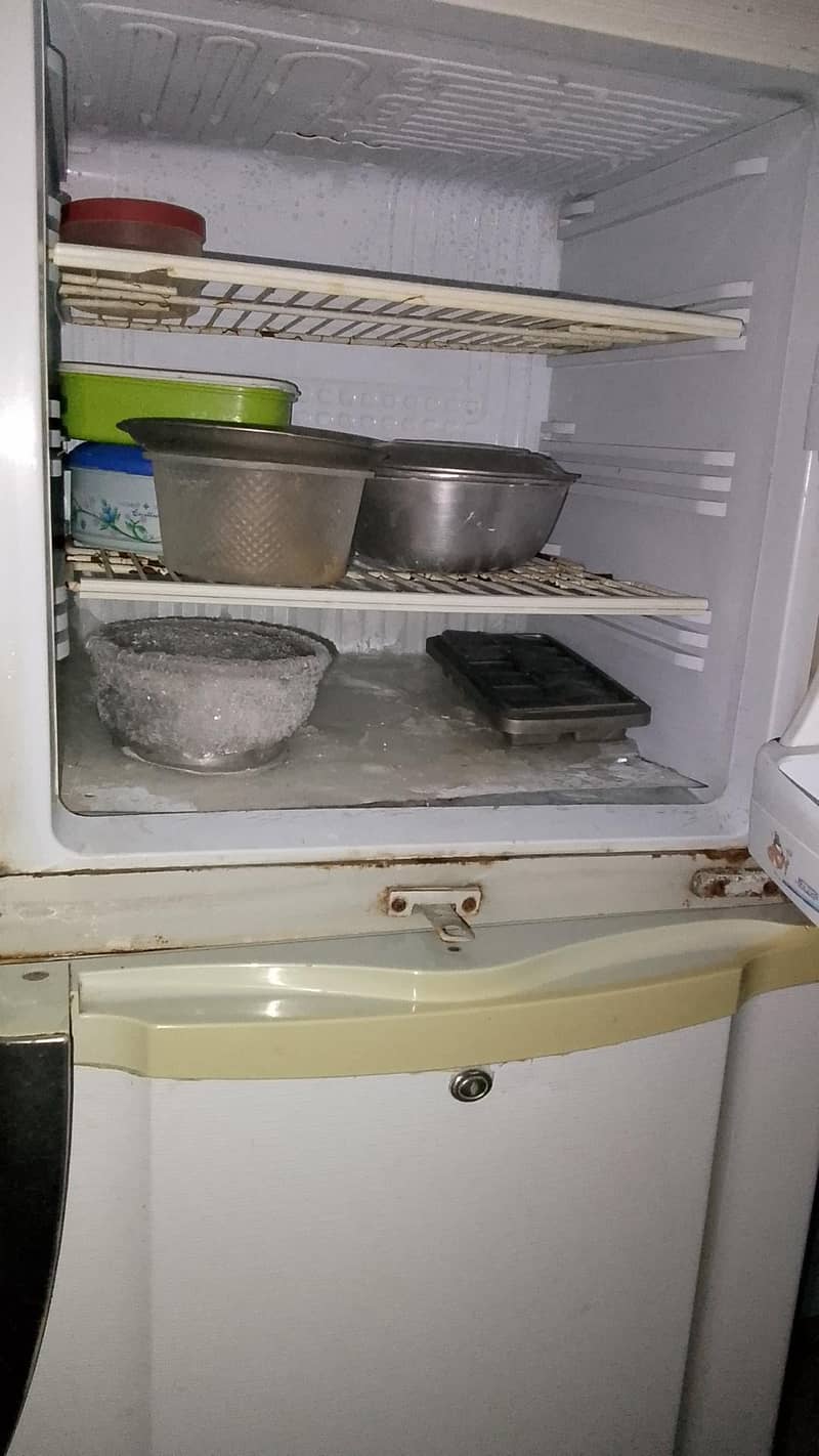 PEL Refrigerator 2