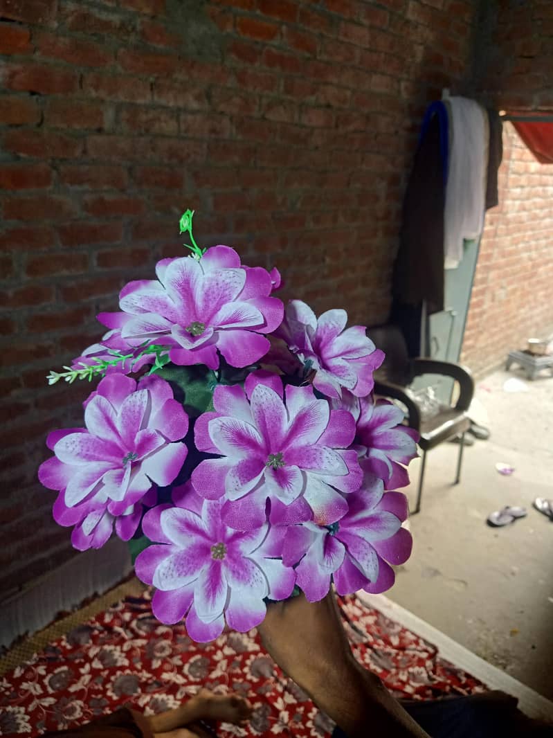 flower 1