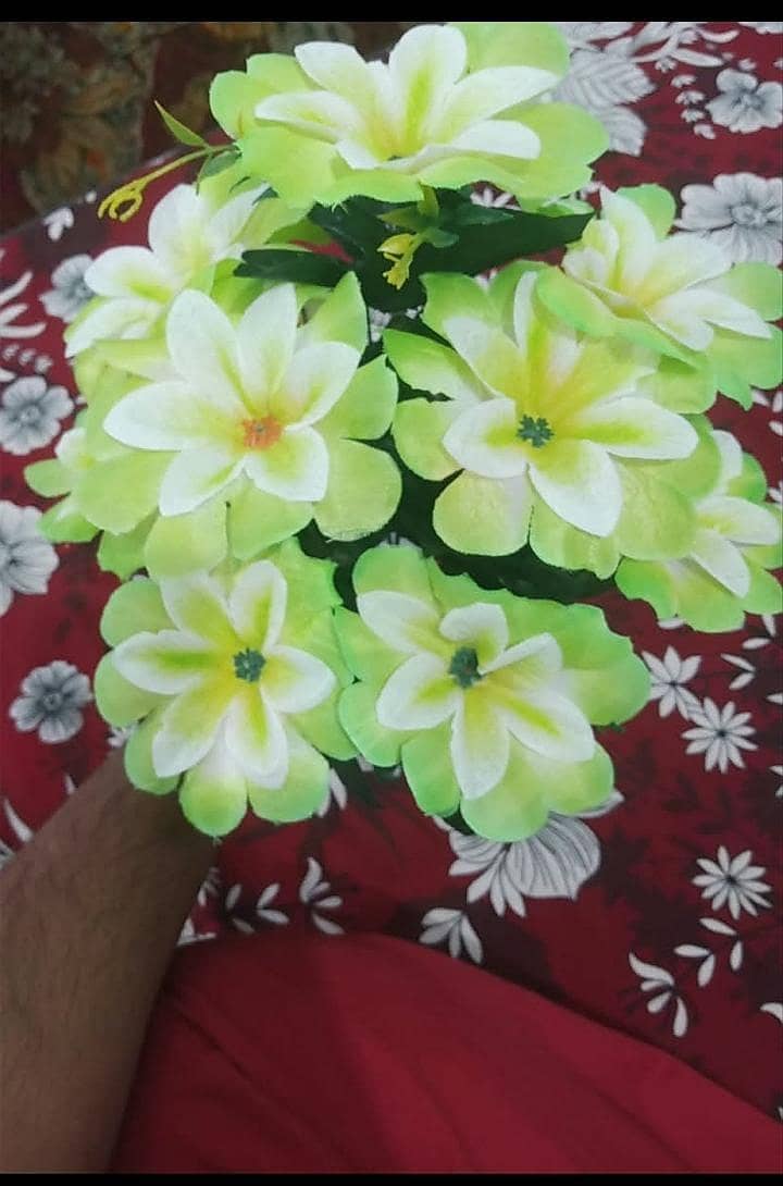 flower 6
