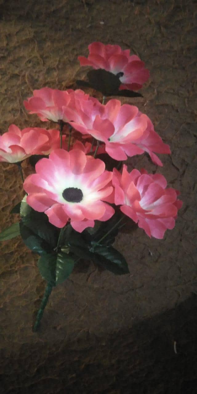 flower 8