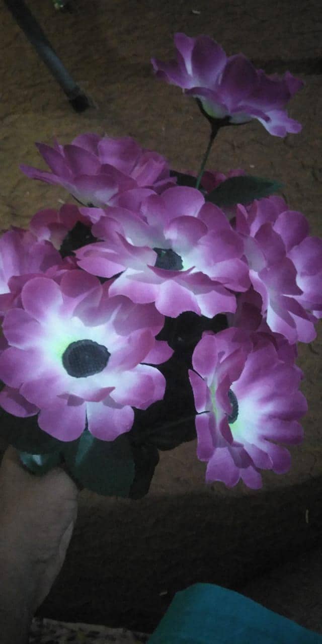 flower 9