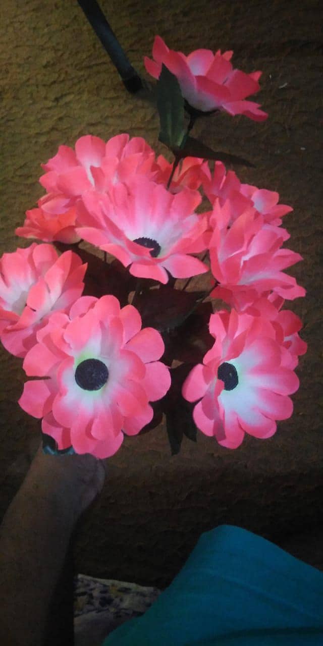 flower 11